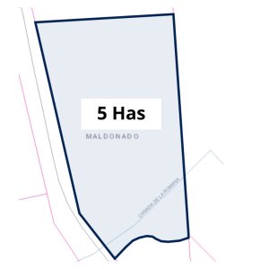 Venta chacra 5 hectáreas 