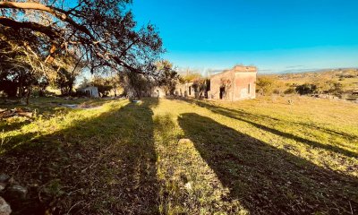 Venta campo 86 hectáreas Aiguá - Uruguay