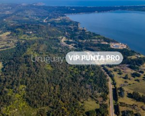 Chacra en venta Laguna del Sauce - Punta Ballena