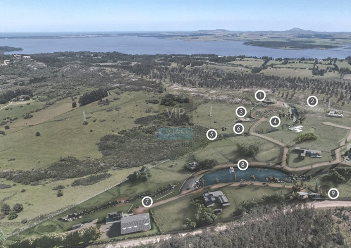 Laguna del Sauce - GoPunta - Portal Inmobiliario de Punta del Este - Maldonado