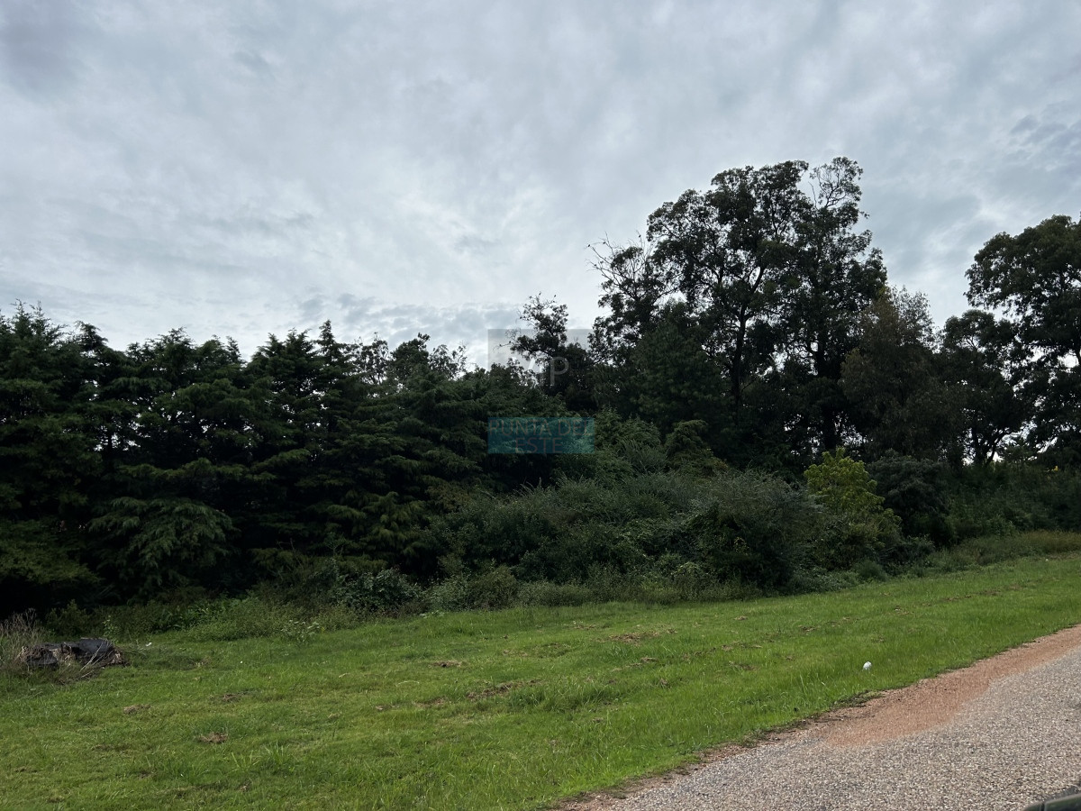 Venta terreno en el Golf Punta del Este