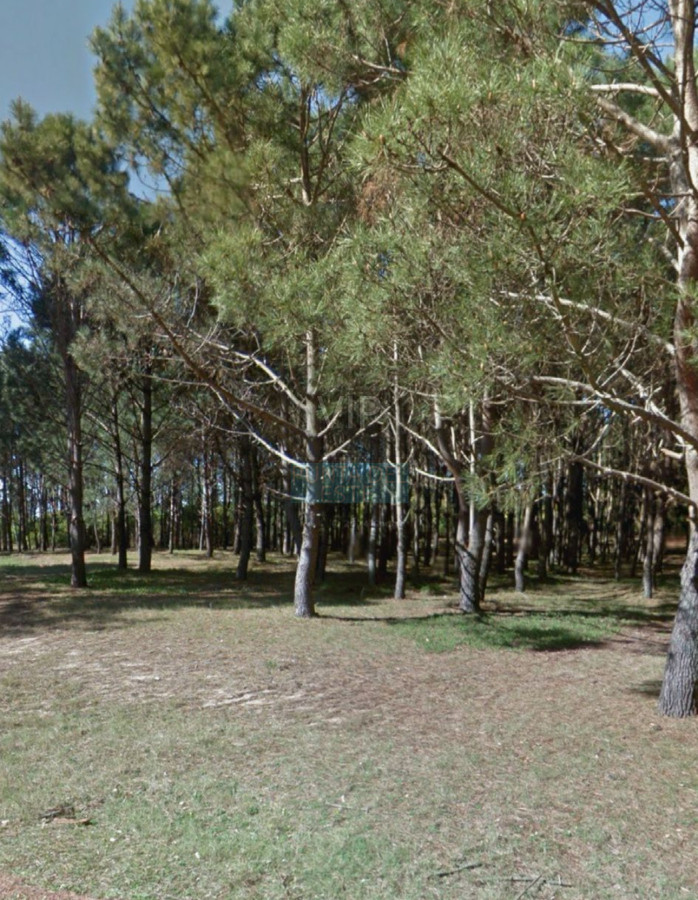 Pinares - GoPunta - Portal Inmobiliario de Punta del Este - Maldonado