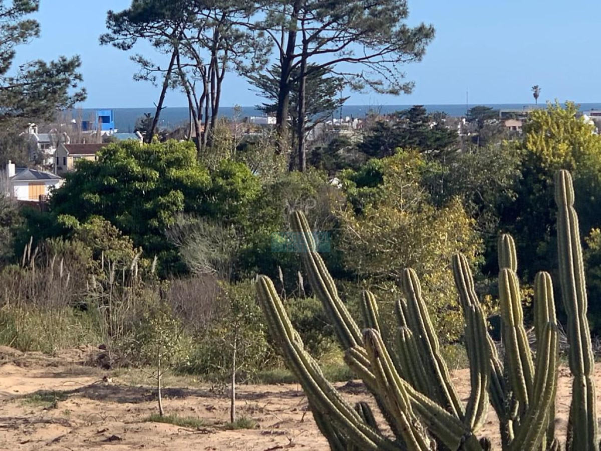 La Barra - GoPunta - Portal Inmobiliario de Punta del Este - Maldonado