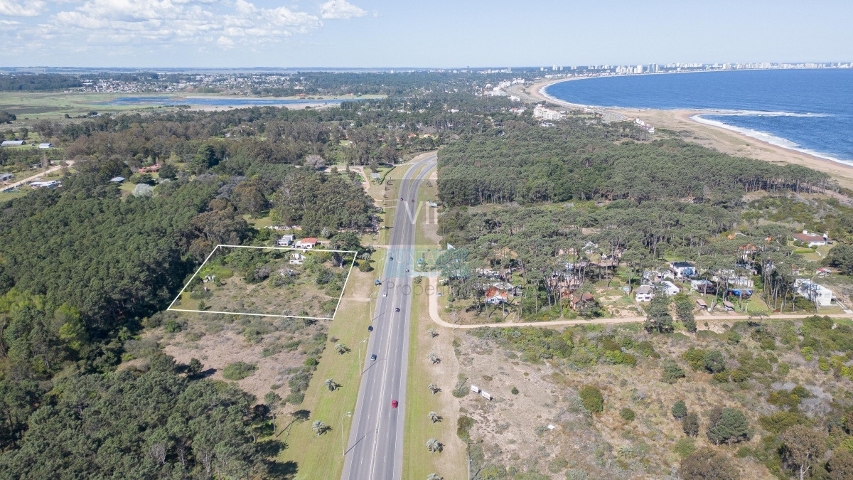Punta Ballena - GoPunta - Portal Inmobiliario de Punta del Este - Maldonado