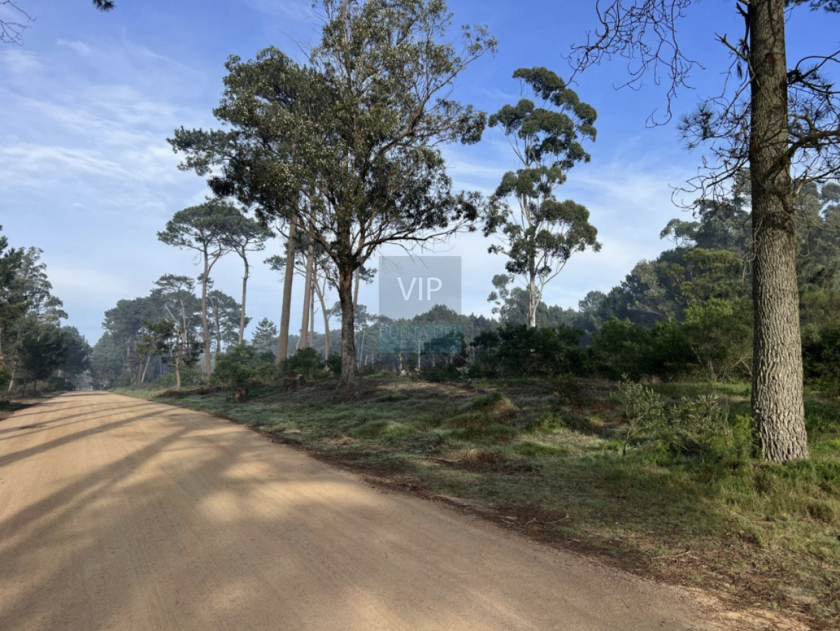 Burnett - GoPunta - Portal Inmobiliario de Punta del Este - Maldonado