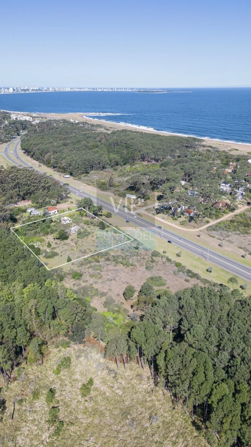 Terreno ID.1790 - Lote en venta para desarollo Punta Ballena para proyecto