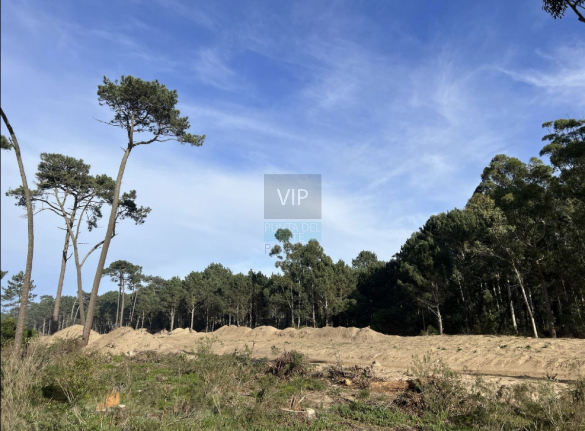 Terreno ID.1705 - Venta terrenos Parque Burnett 