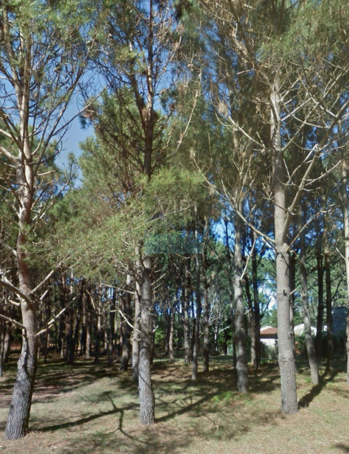 Pinares - GoPunta - Portal Inmobiliario de Punta del Este - Maldonado