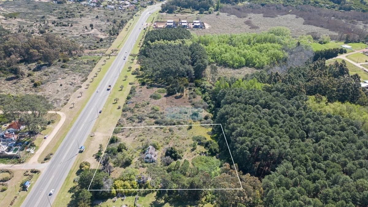 Terreno ID.1790 - Lote en venta para desarollo Punta Ballena para proyecto