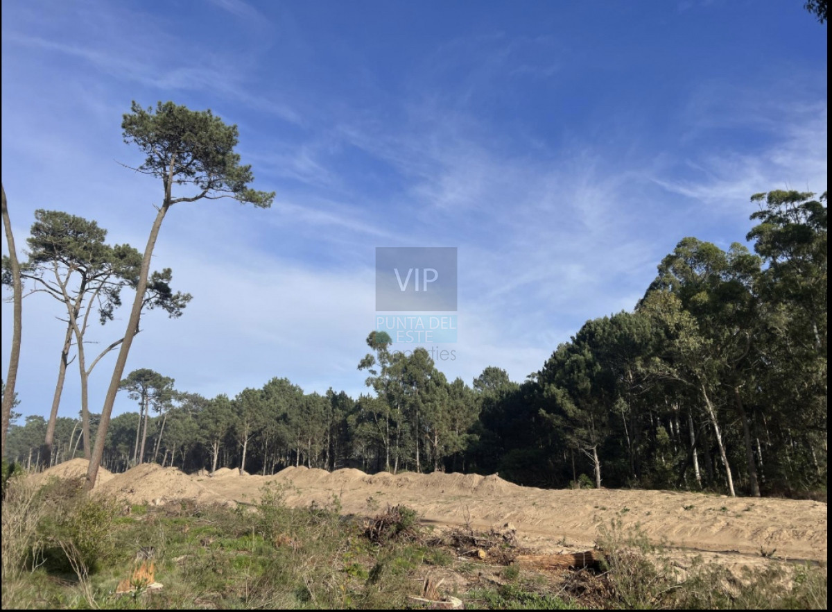 Terreno ID.1705 - Venta terrenos Parque Burnett 