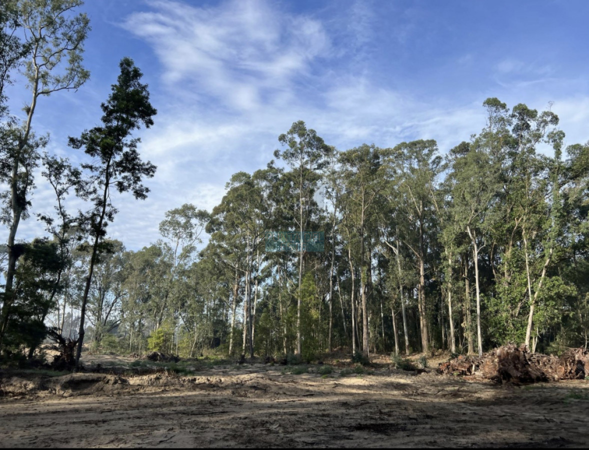 Terreno ID.1705 - Venta terrenos Parque Burnett 
