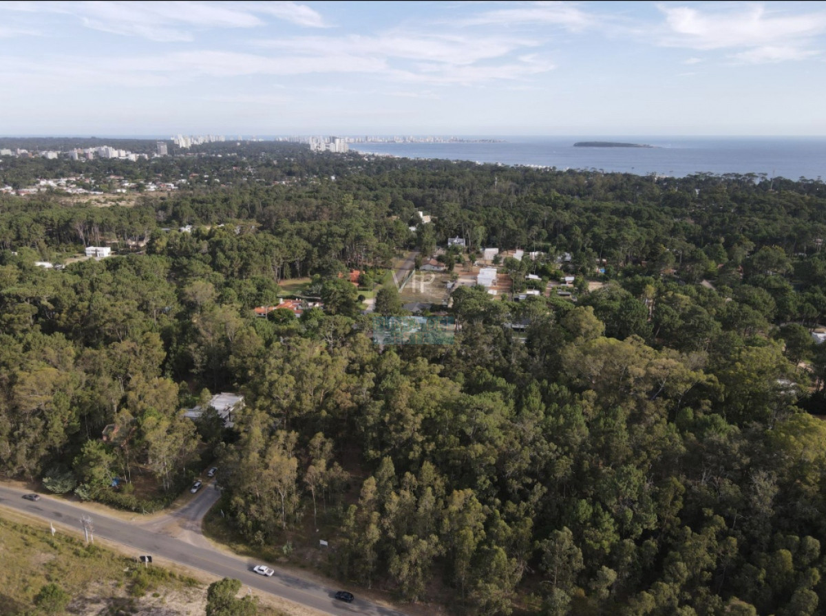 Burnett - GoPunta - Portal Inmobiliario de Punta del Este - Maldonado