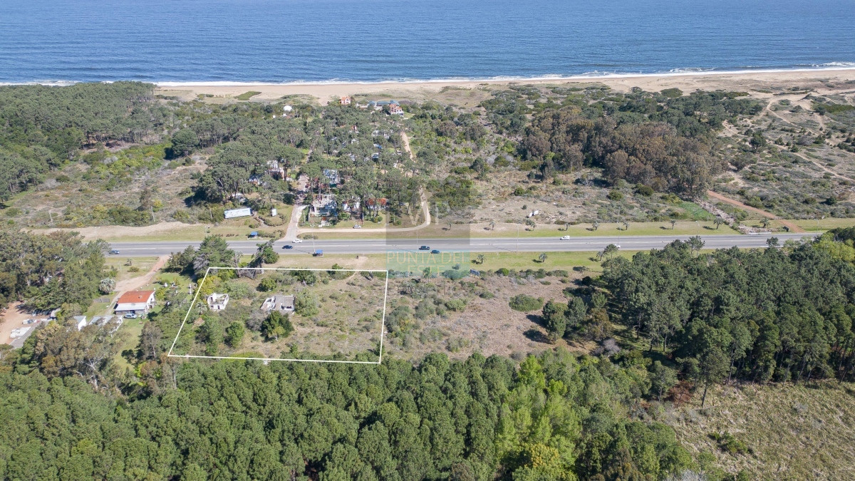 Punta Ballena - GoPunta - Portal Inmobiliario de Punta del Este - Maldonado