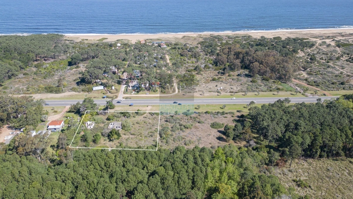 Terreno ID.1790 - Lote en venta para desarollo Punta Ballena para proyecto