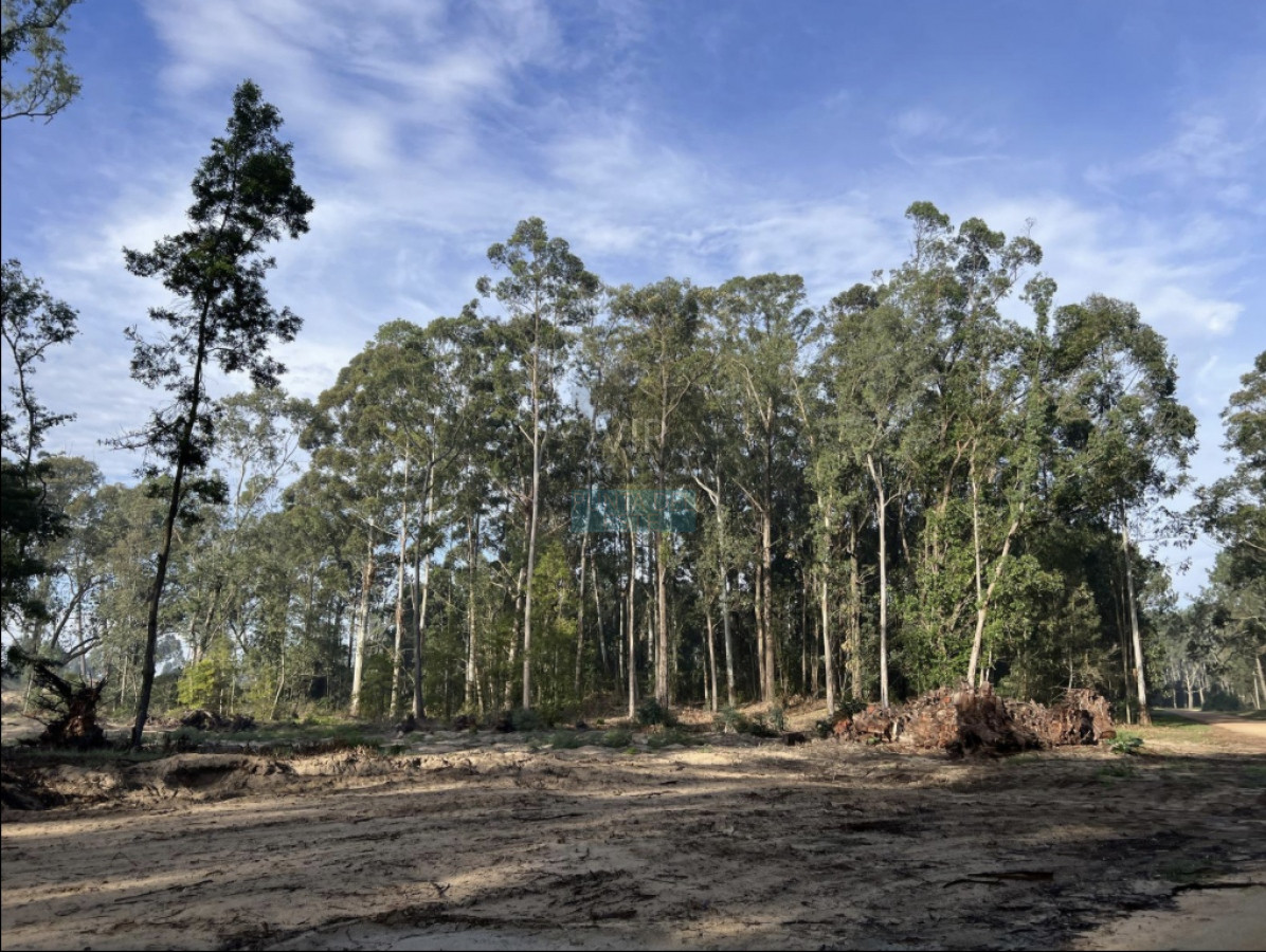 Terreno ID.1705 - Venta terrenos Parque Burnett 