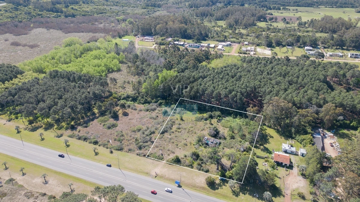Terreno ID.1790 - Lote en venta para desarollo Punta Ballena para proyecto