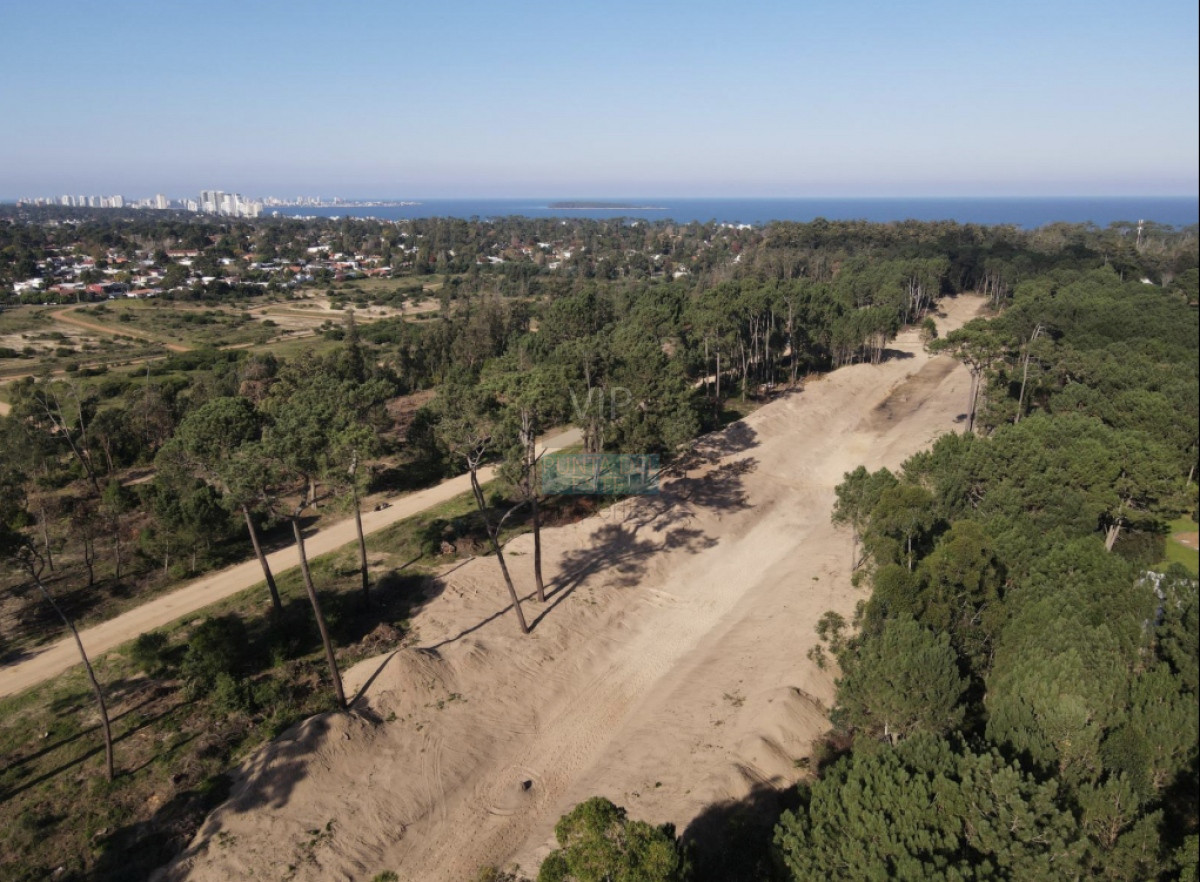Burnett - GoPunta - Portal Inmobiliario de Punta del Este - Maldonado