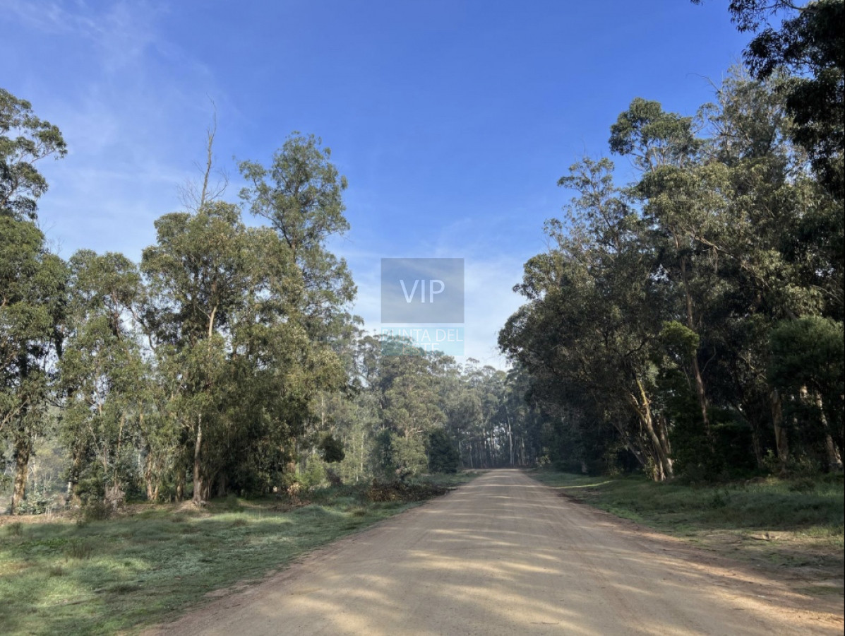Terreno ID.1705 - Venta terrenos Parque Burnett 