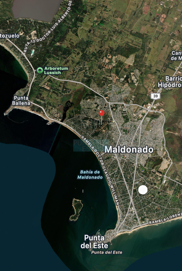 Pinares - GoPunta - Portal Inmobiliario de Punta del Este - Maldonado