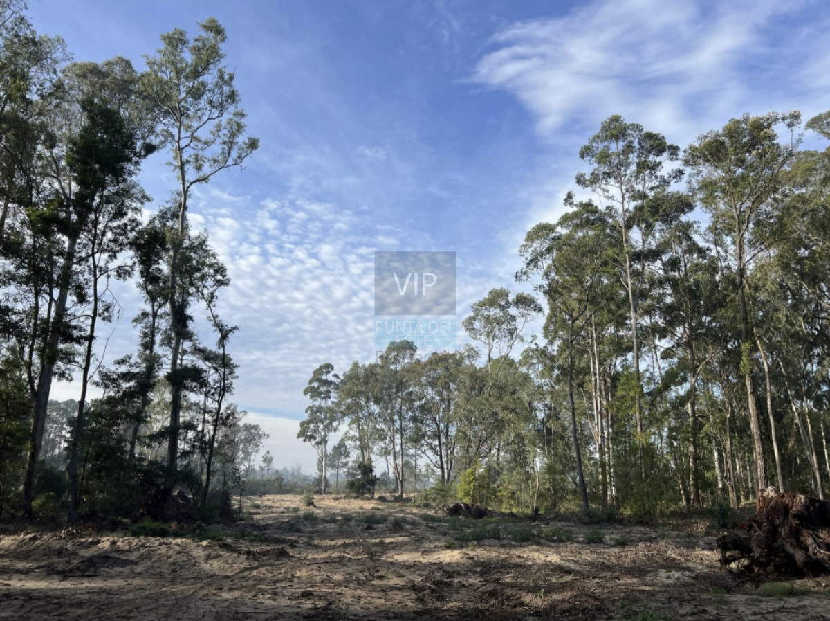 Terreno ID.1705 - Venta terrenos Parque Burnett 