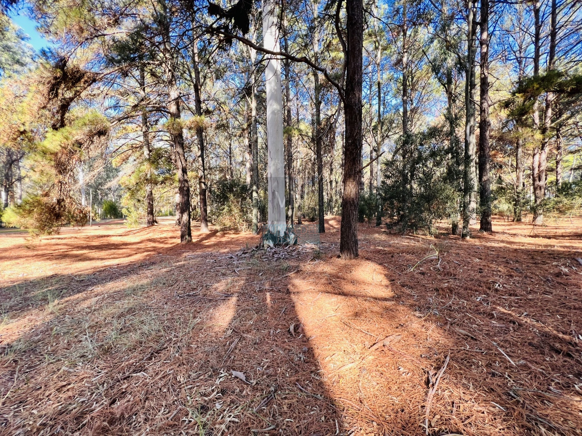 Terreno ID.1740 - Venta terreno barrio privado Carmelo