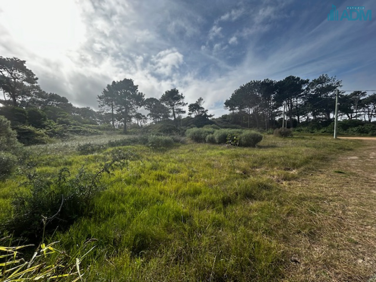 Terreno ID.1897 - Excelente terreno con vista en Rincón del Indio