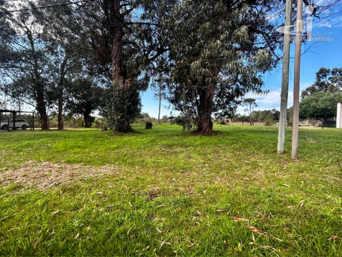 Terreno