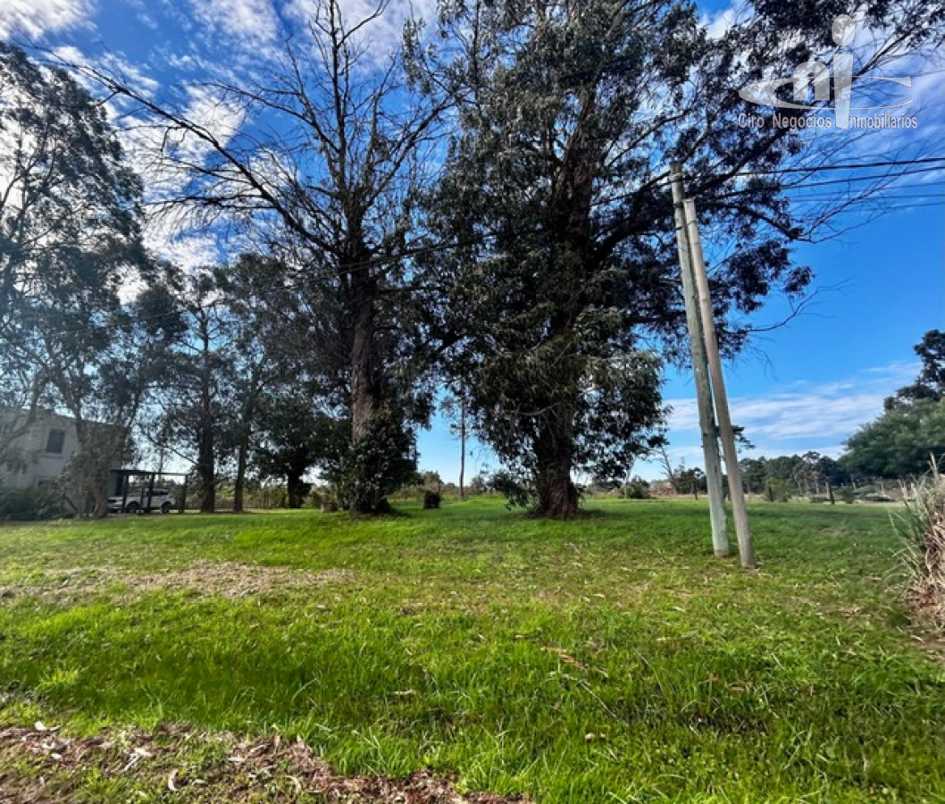 Terreno