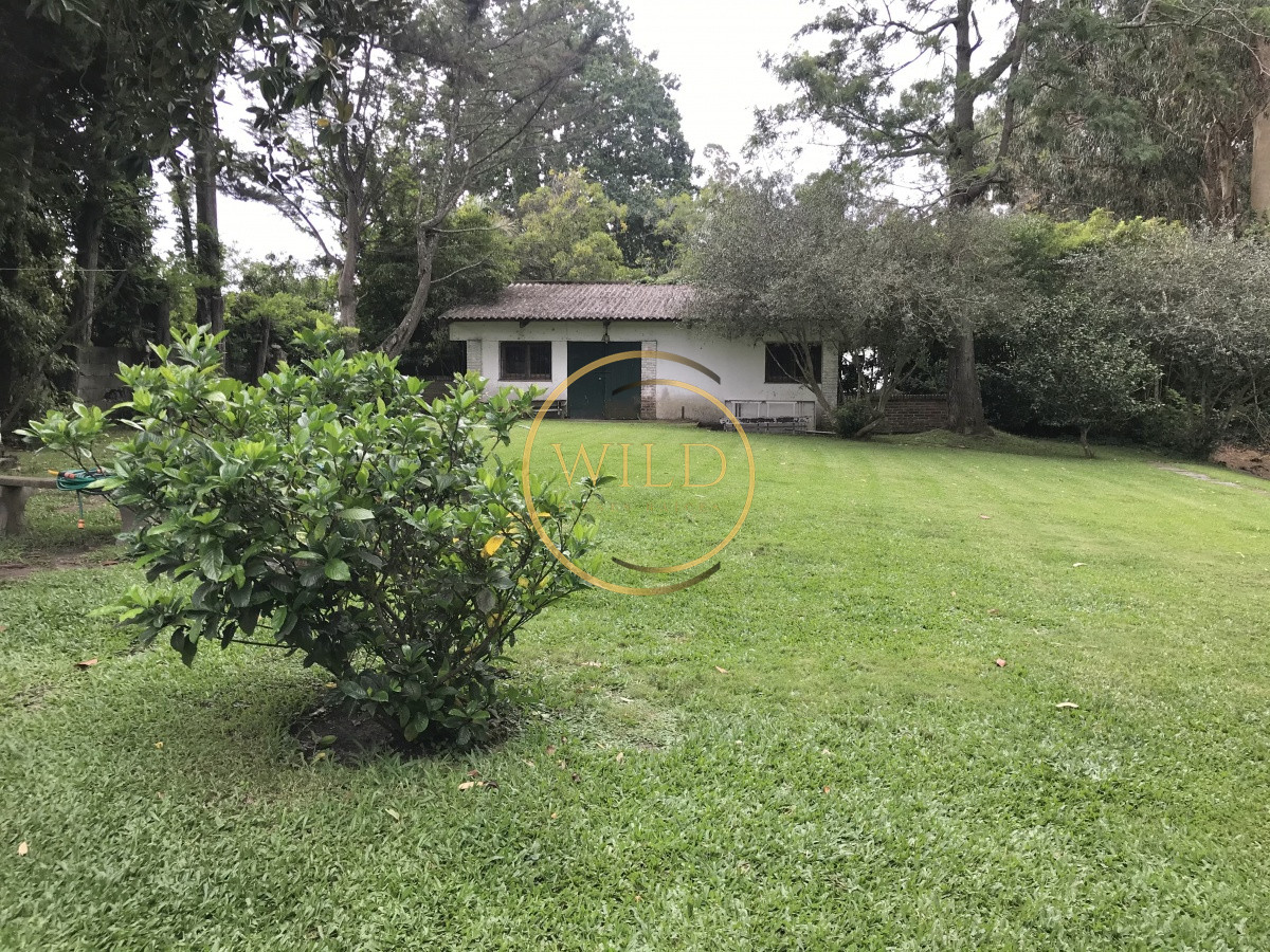 Casa ID.2399 - Muy linda casa en Golf