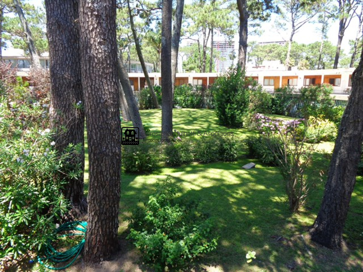 Apartamento ID.1644 - Apartamento en alquiler anual - Arcobaleno II