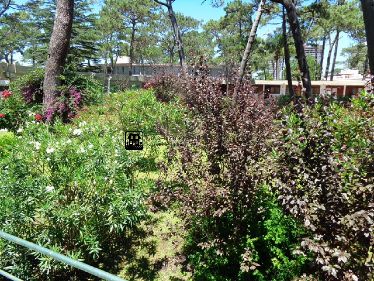 Apartamento ID.1644 - Apartamento en alquiler anual - Arcobaleno II