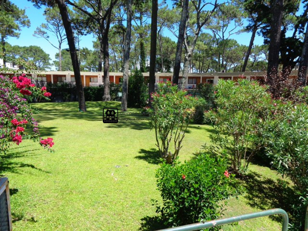 Apartamento ID.1644 - Apartamento en alquiler anual - Arcobaleno II
