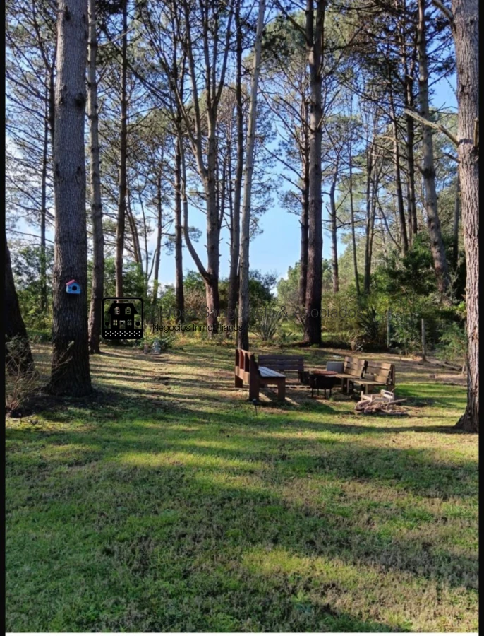 Casa ID.3353 - Muy linda casa de 2 dormitorios en alquiler en Laguna del Sauce