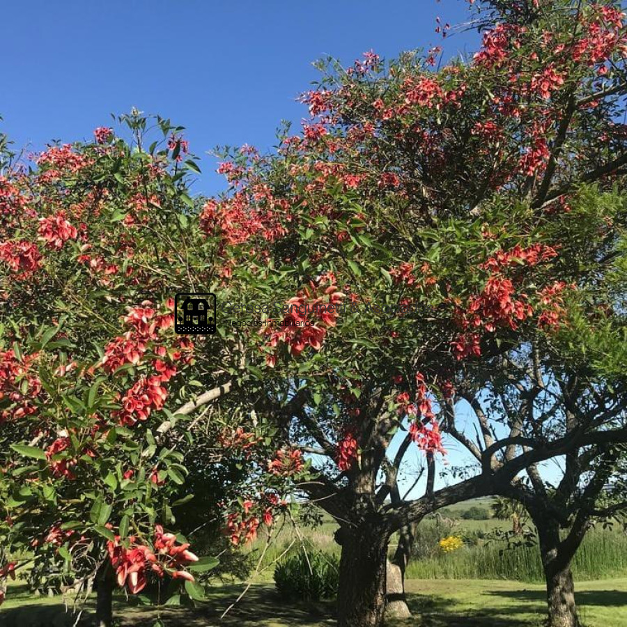 Chacra ID.2619 - Espectacular chacra en venta en MARISCALA- Abra del Perdomo