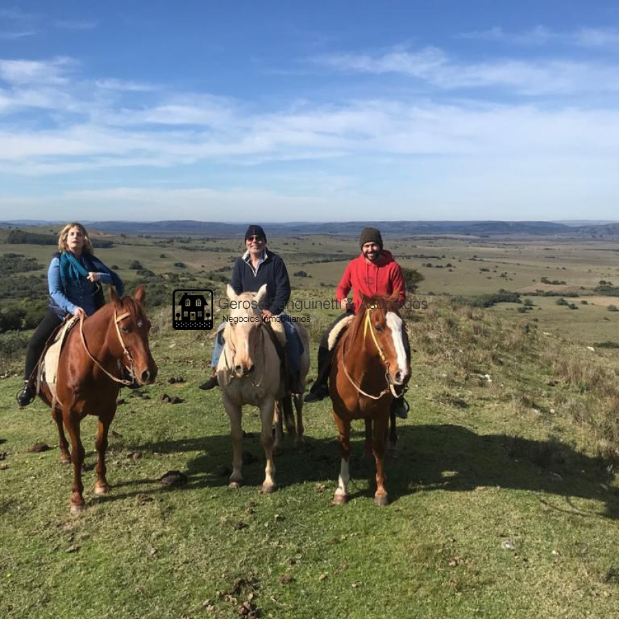 Chacra ID.2619 - Espectacular chacra en venta en MARISCALA- Abra del Perdomo
