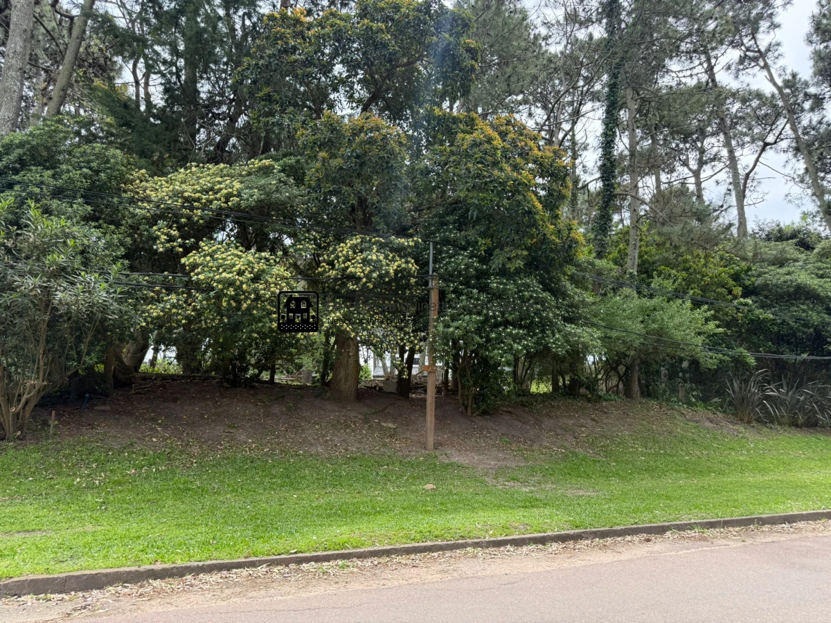 Terreno ID.3307 - Terreno en venta en San Rafael 