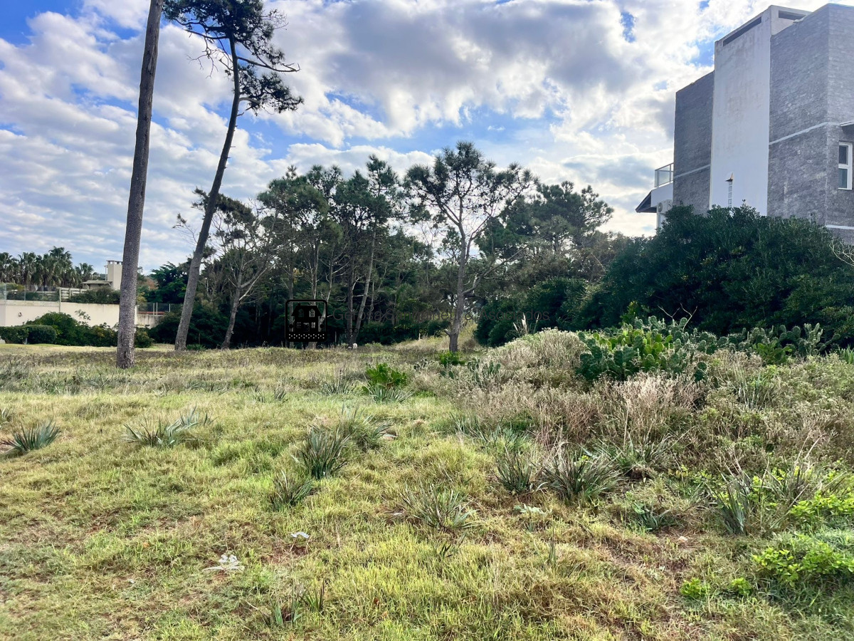 Terreno ID.2530 - Terreno para construcción de edificio primera línea en Pinares