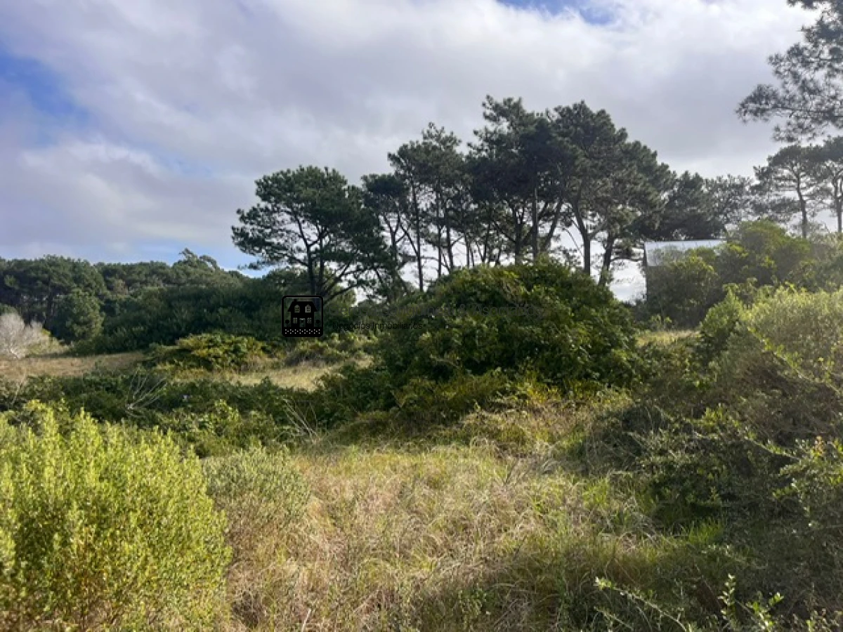Terreno ID.2601 - Excelente terreno con vista en Rincón del Indio