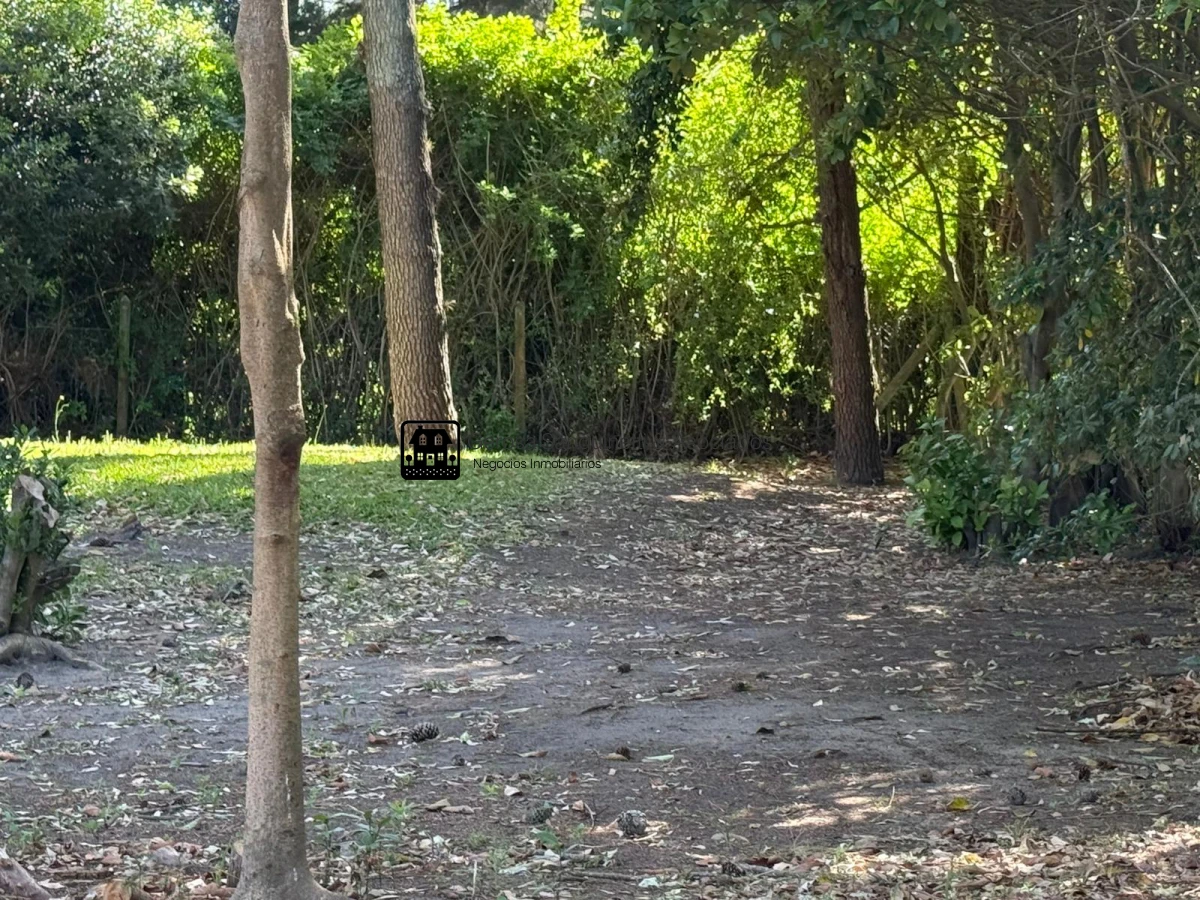 Terreno ID.3307 - Terreno en venta en San Rafael 