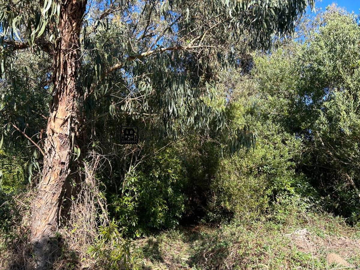 Terreno ID.2425 - Terreno en Santa Monica