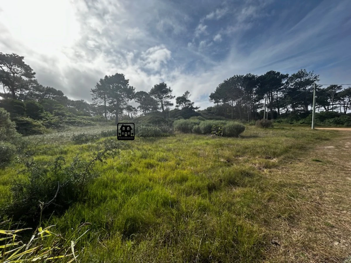 Terreno ID.2601 - Excelente terreno con vista en Rincón del Indio