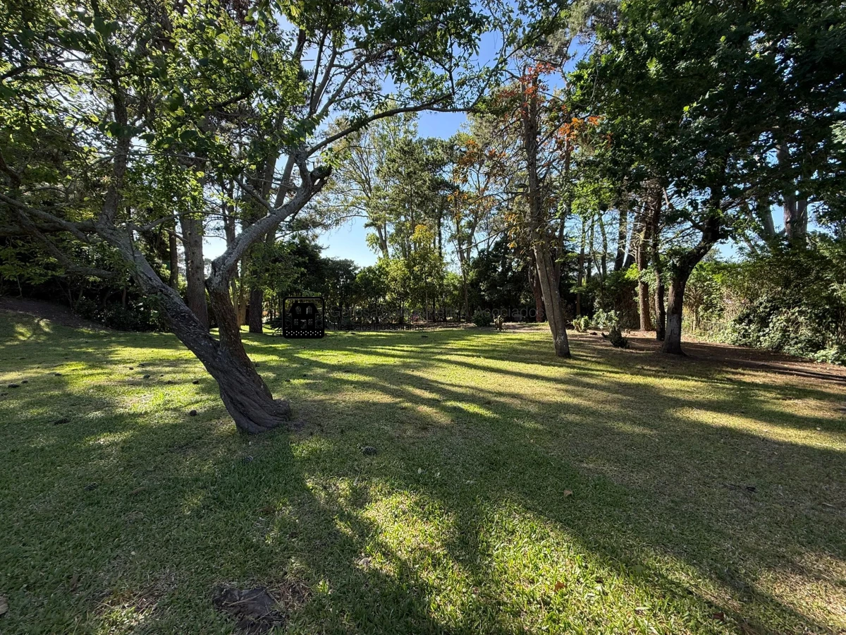 Terreno ID.3307 - Terreno en venta en San Rafael 