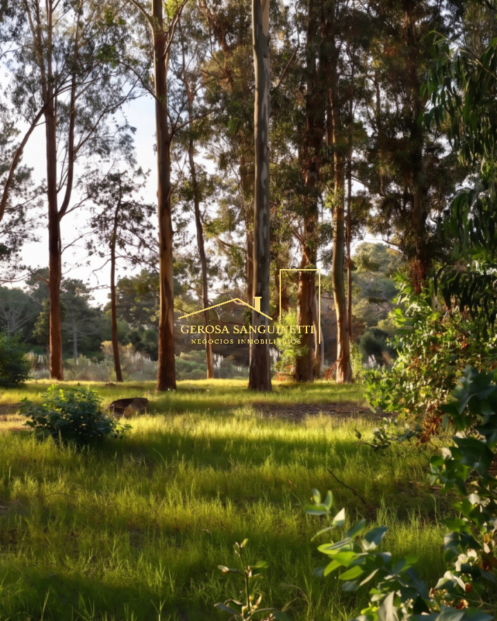 Terreno ID.3629 - terreno de 1.000m2 en venta Reserva Montoya con Amenitis