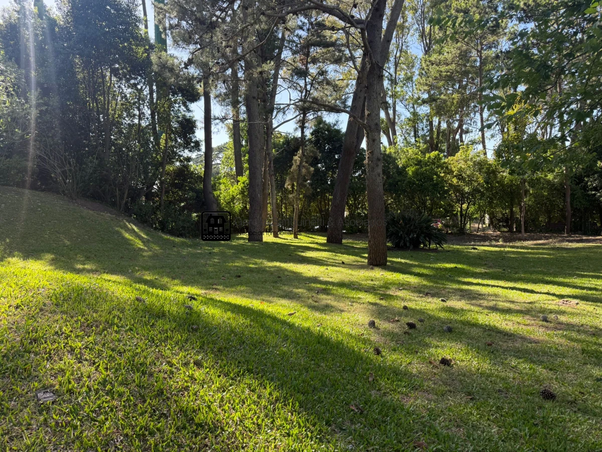 Terreno ID.3307 - Terreno en venta en San Rafael 