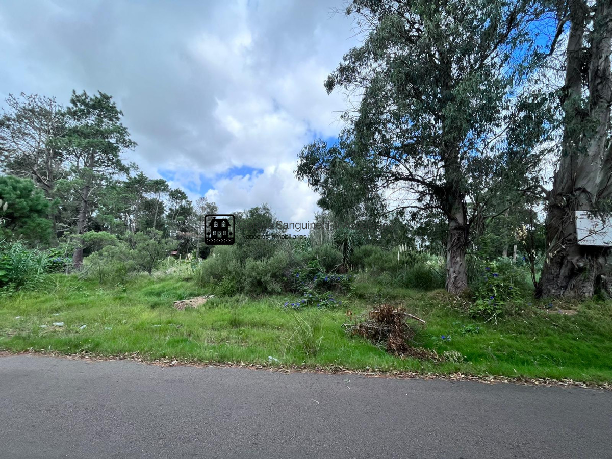 Terreno ID.2121 - Terreno en Punta Del Este, Playa Brava