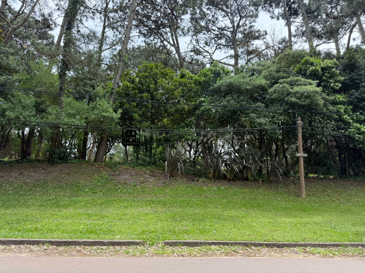 Terreno ID.3307 - Terreno en venta en San Rafael 