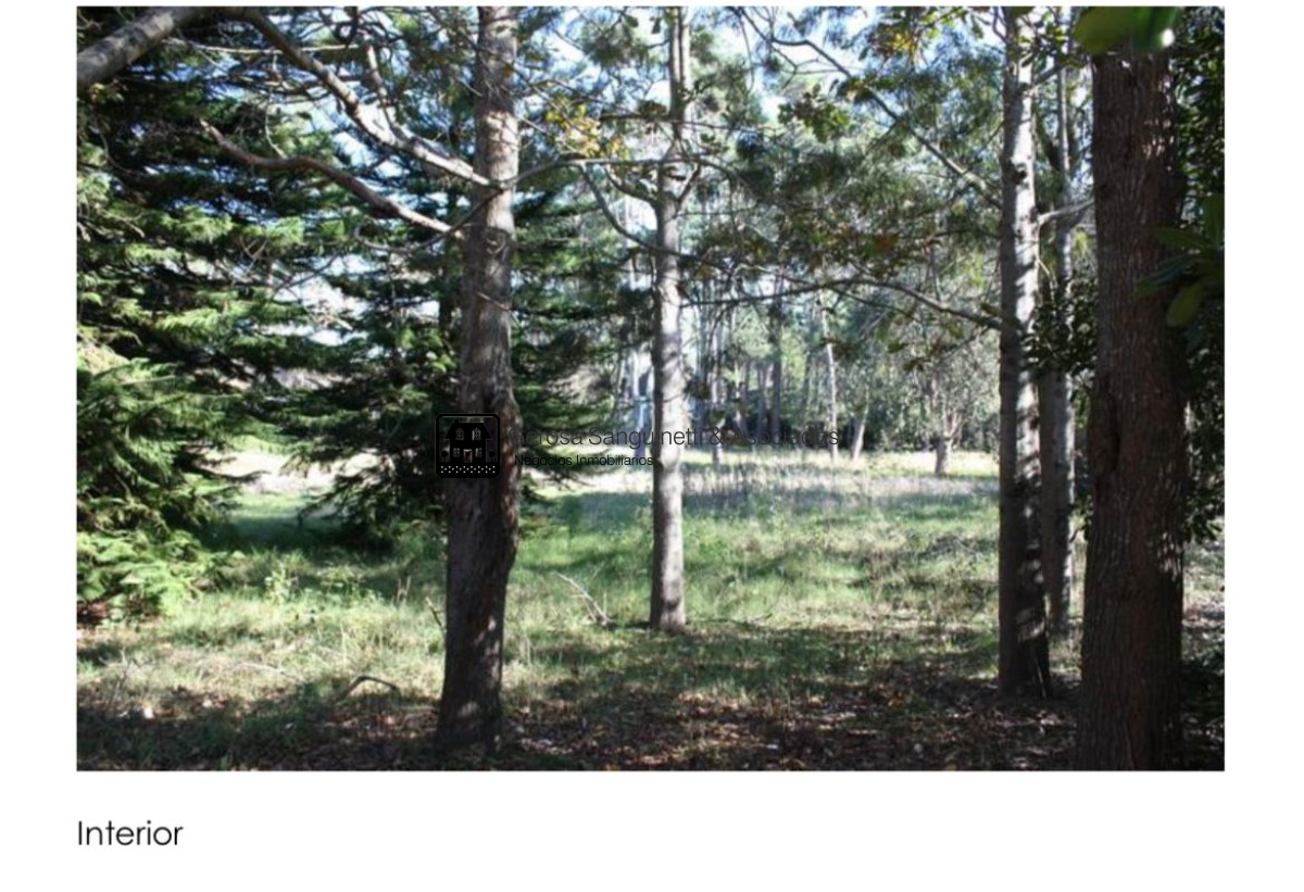 Terreno ID.3203 - Excelente terreno en San Rafael en venta 