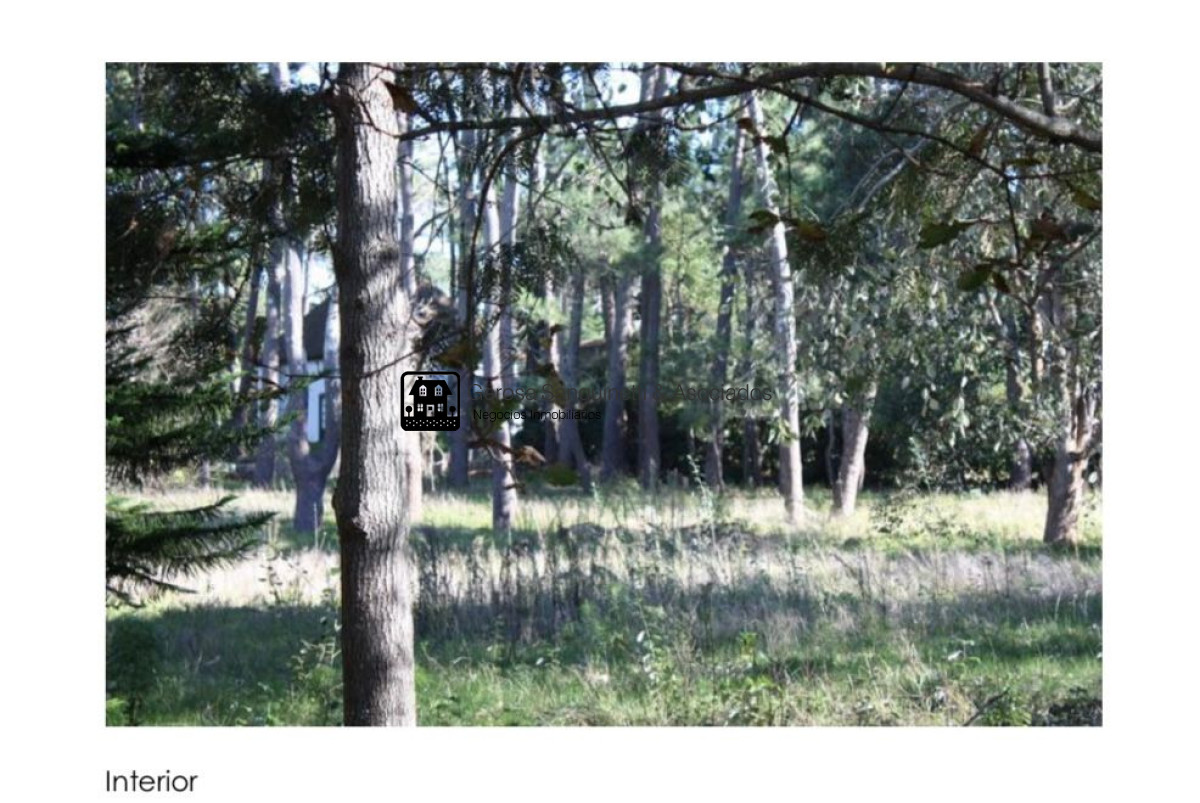 Terreno ID.3391 - Excelente terreno en San Rafael en venta