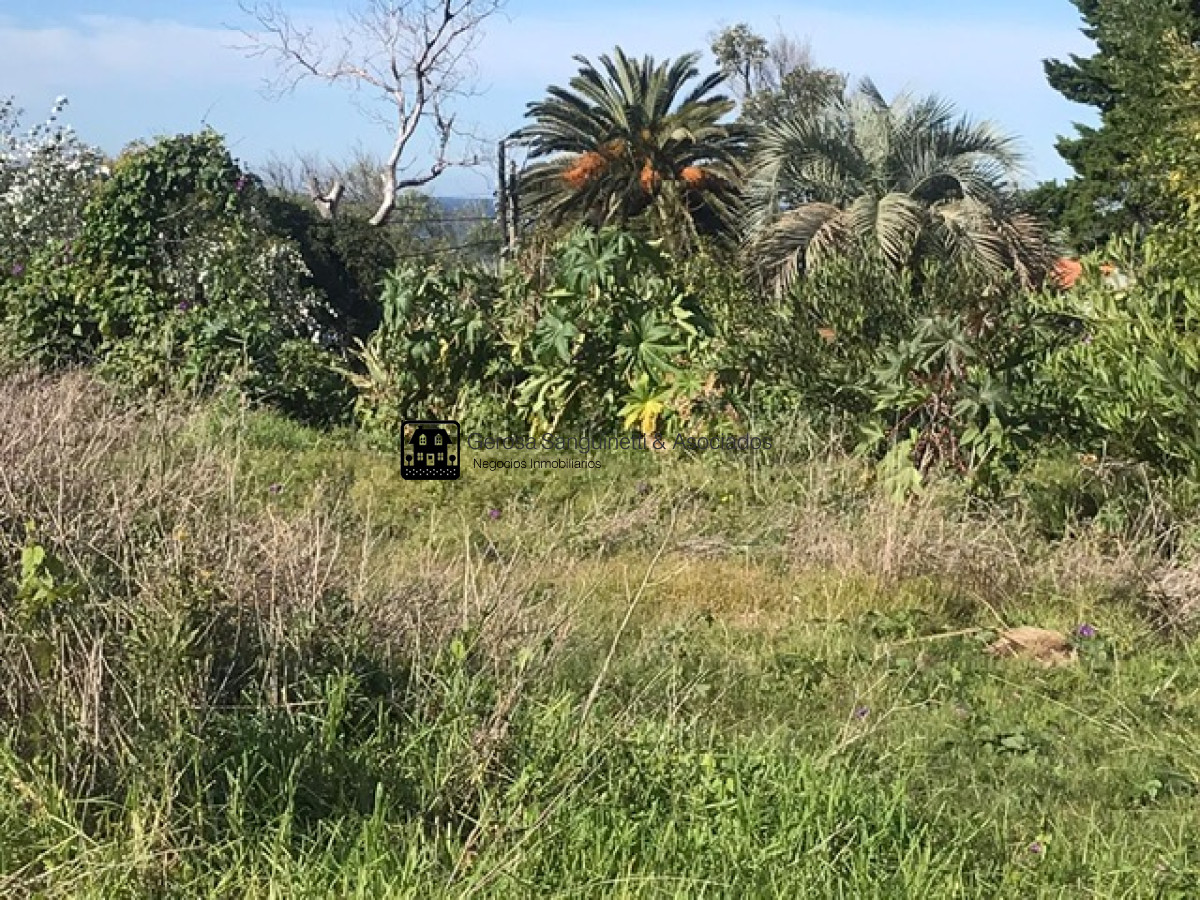Terreno ID.1765 - Terreno en El Chorro con vista parcial al Mar