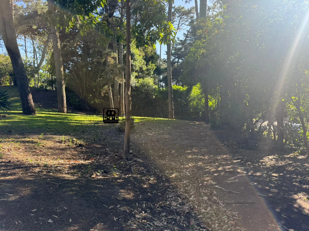 Terreno ID.3307 - Terreno en venta en San Rafael 